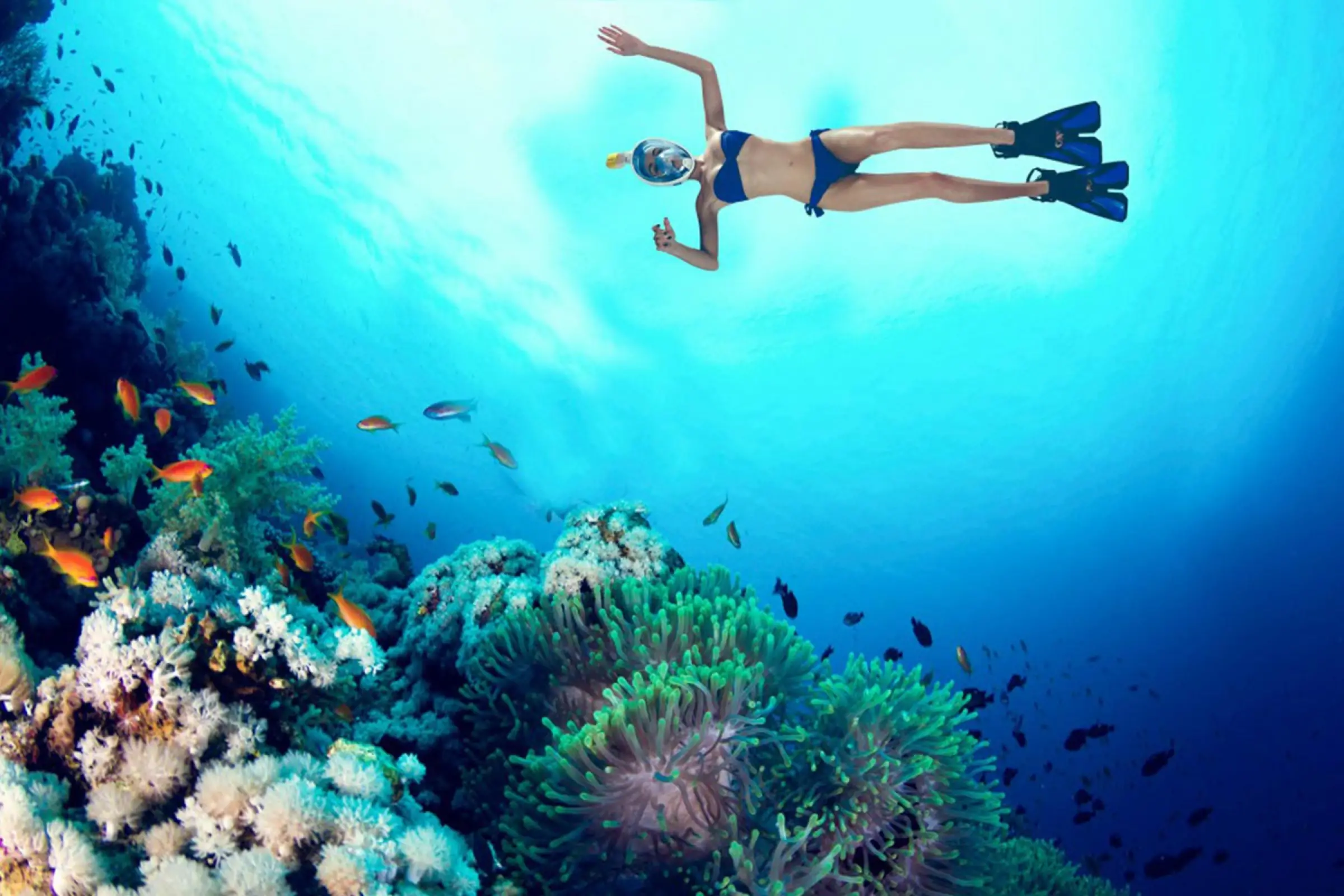 Snorkeling Excursion in Santorini